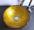 Aufsatz Glas Waschbecken gold rot 31cm 